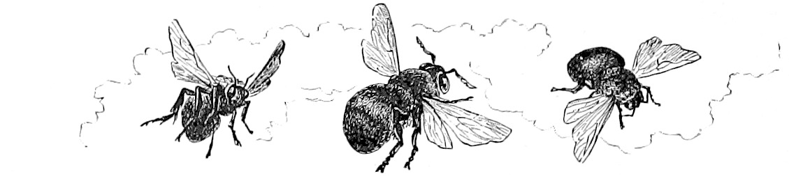 Un dibujo de abejas volando.