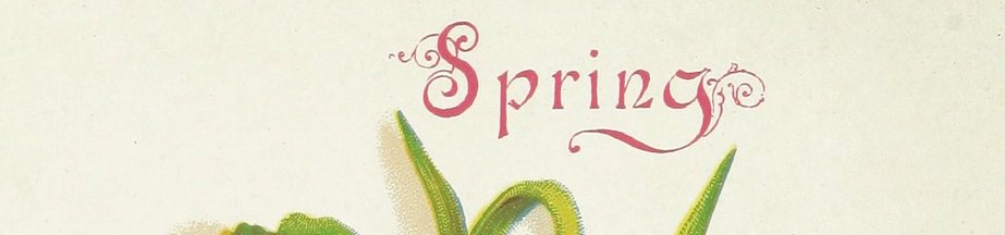 A cropped image with the word Spring.